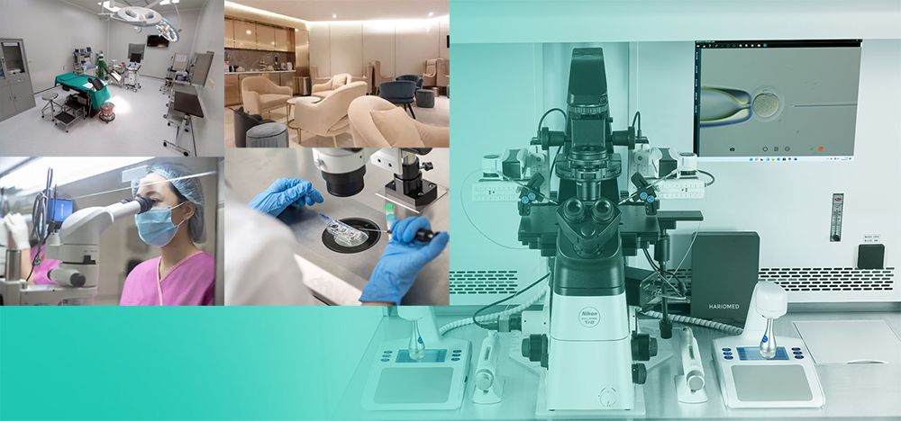 �Թ�Ӥ�������ܾ�-��̥��ֲ