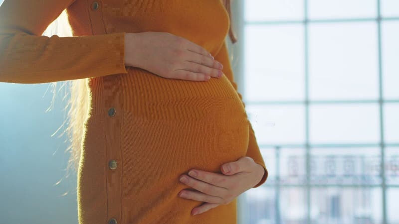 ������������ڹػ�