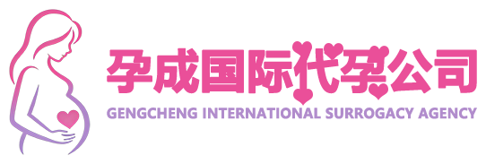 �гɹ��ʴ�ĸ���裩ӦƸ��˾